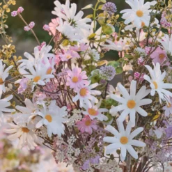 Künstlicher Frühlingsstrauß „Daisy Dreams“ mit pastellfarbenen Gänseblümchen 60cm