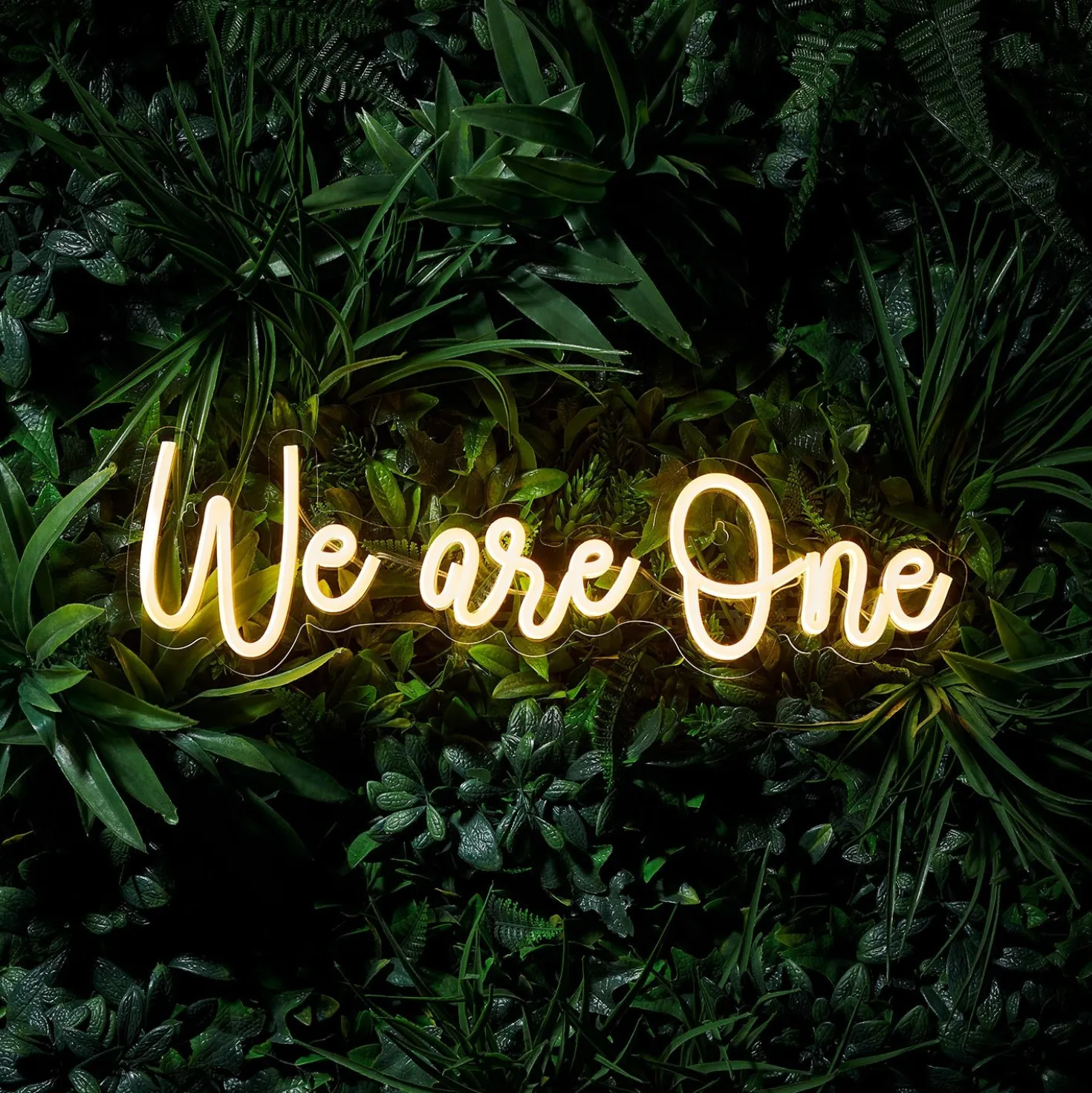 LED Neon Schriftzug We are One