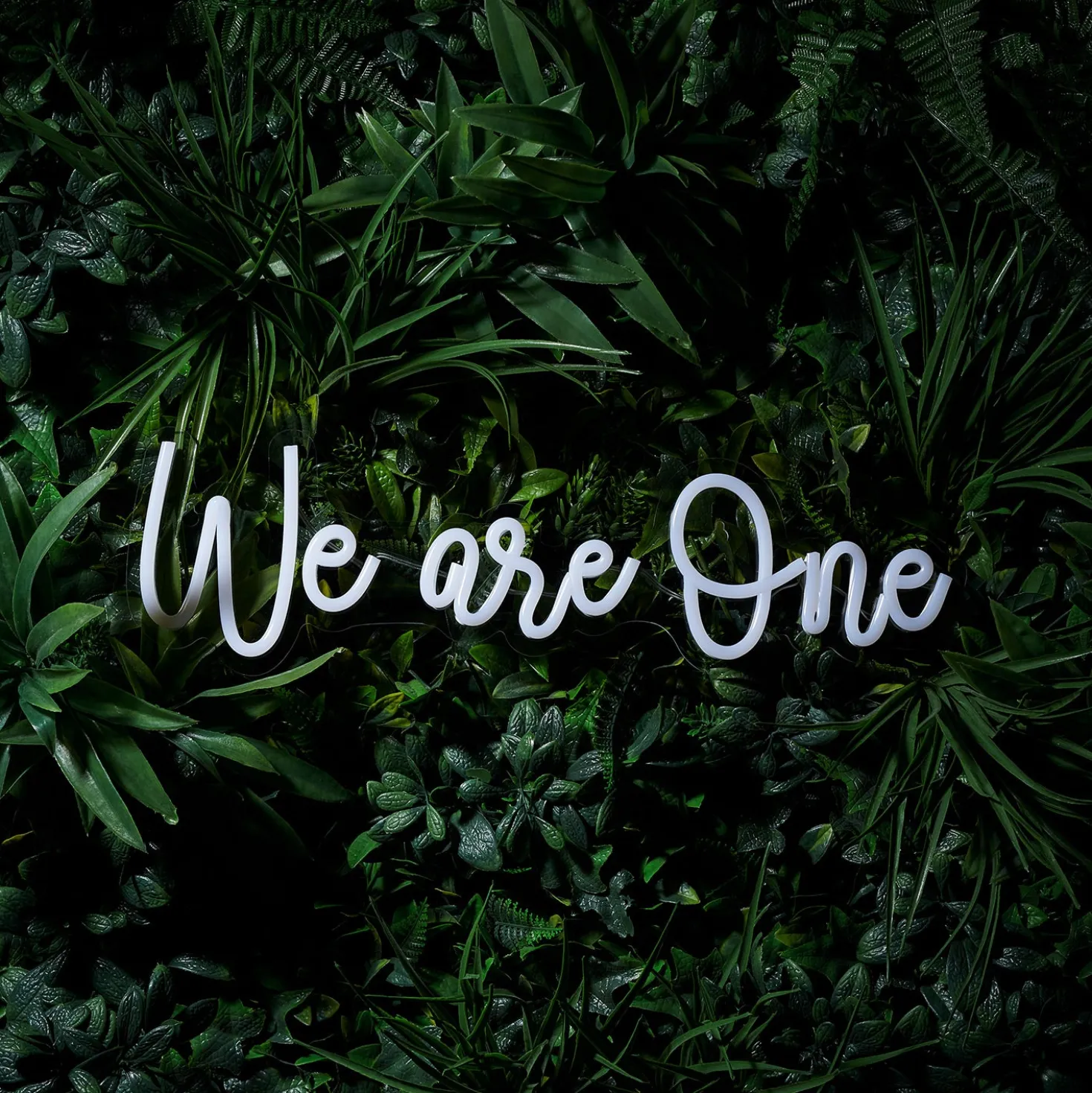 LED Neon Schriftzug We are One