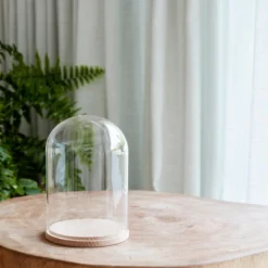 Minimalistische Glasglocke mit Micro Lichterkette