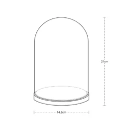 Minimalistische Glasglocke mit Micro Lichterkette