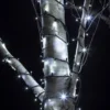 Pro Connect IP67 5m 50er LED Lichterkette weiß koppelbar schwarzes Kabel