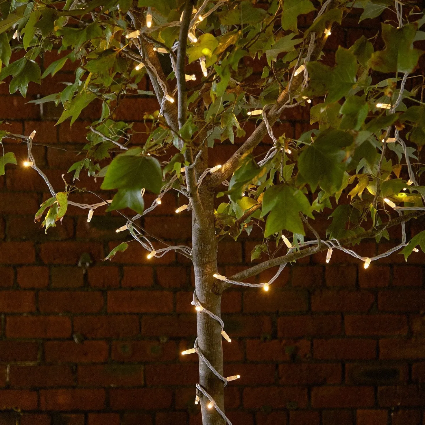 Pro Connect IP67, 10m 100er LED Lichterkette gold warmweiß koppelbar weißes Kabel