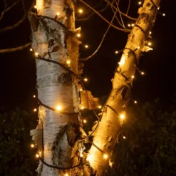 Pro Connect 5 m 50er LED-Lichterkette mit Twinkle-Effekt, warmweiß – Schwarz