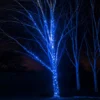 Pro Connect 5m 50er LED Lichterkette blau koppelbar schwarzes Kabel IP67