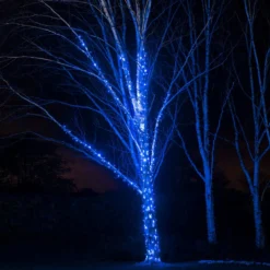 Pro Connect 5m 50er LED Lichterkette blau koppelbar schwarzes Kabel IP67