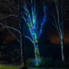 Pro Connect 20m 200er LED Lichterkette bunt koppelbar schwarzes Kabel IP67