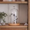 Set aus Glaskuppel & Mikro-LED-Lichterkette mit Geistern und Spinnen