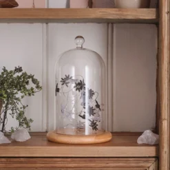 Set aus Glaskuppel & Mikro-LED-Lichterkette mit Geistern und Spinnen