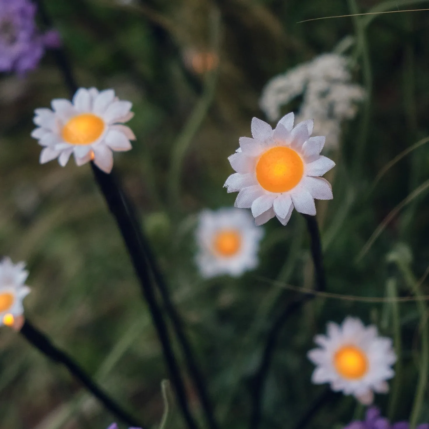 Solar Gänseblümchen Stableuchten 30er