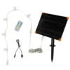 Solar-LED-Rentier Rehkitz L Studley