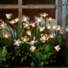 Solar Stableuchten Blumen, Bienen & Schmetterlinge