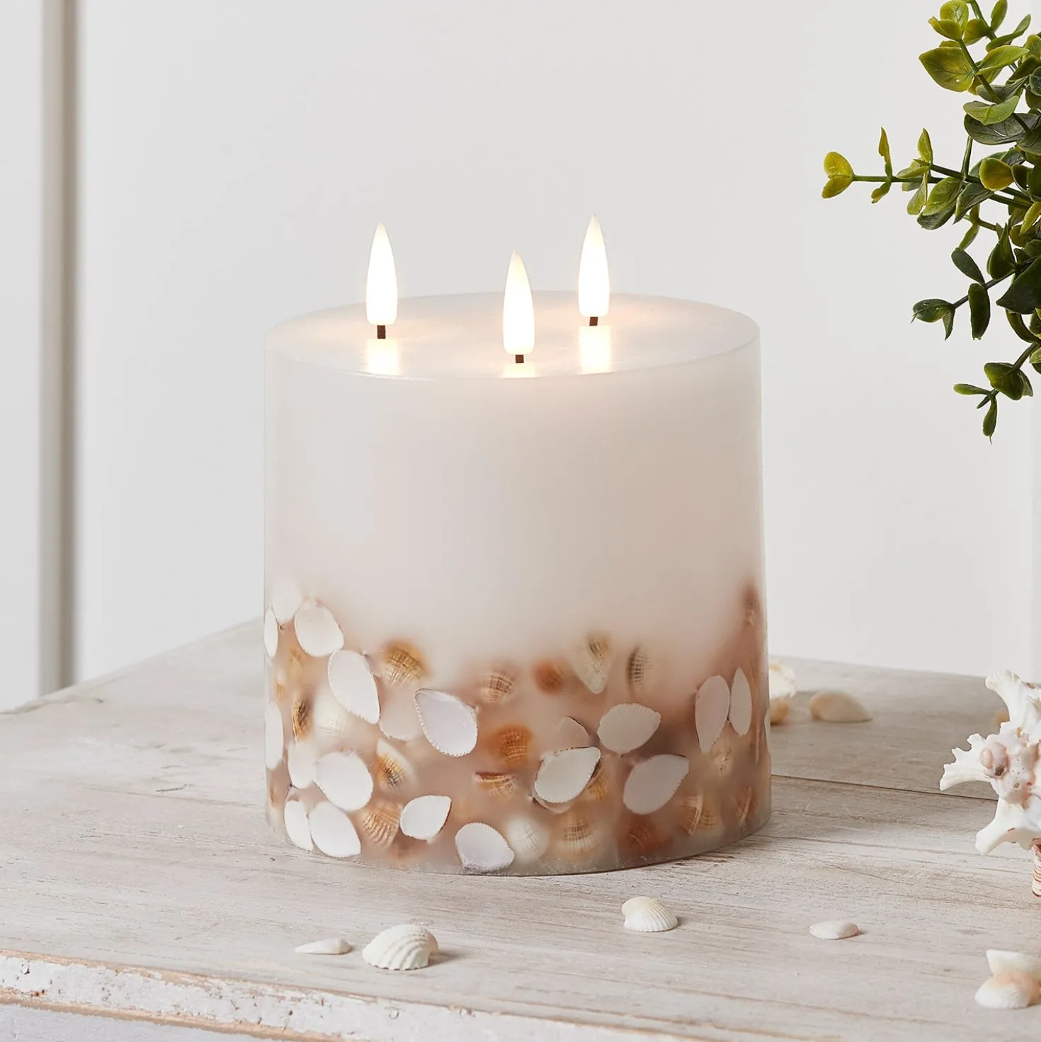TruGlow® dreidochtige LED Kerze Echtwachs mit Muscheln