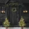 Weihnachtsdeko-Set Kranz, Girlande und Weihnachtsbäume Tannenzweige